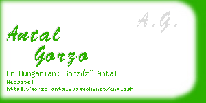 antal gorzo business card